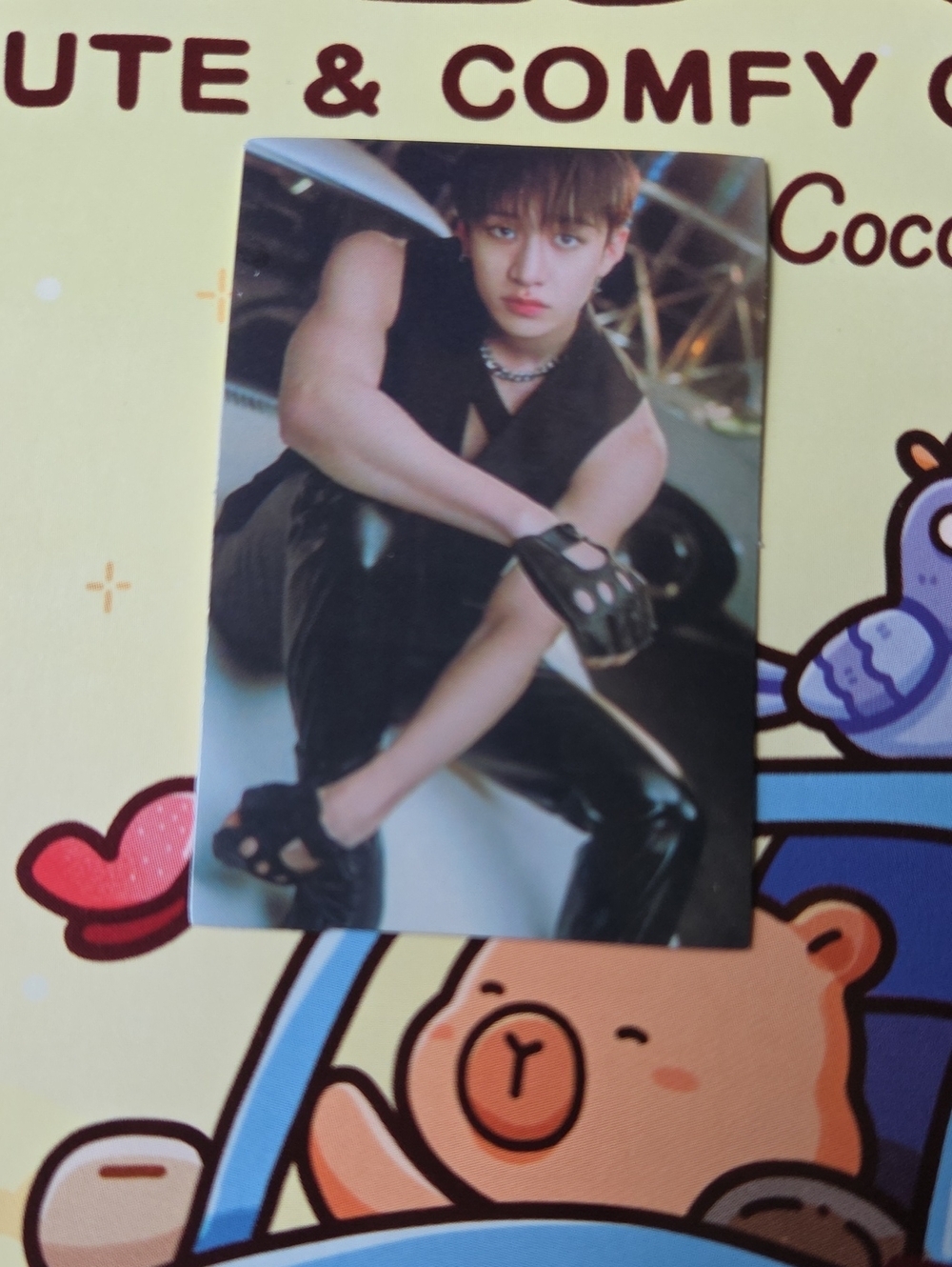 K-Pop Idol Photocard Straykids Sticker - Black Outfit